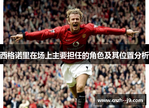 西格诺里在场上主要担任的角色及其位置分析