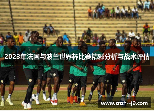 2023年法国与波兰世界杯比赛精彩分析与战术评估