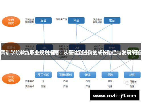 青训学院教练职业规划指南：从基础到进阶的成长路径与发展策略