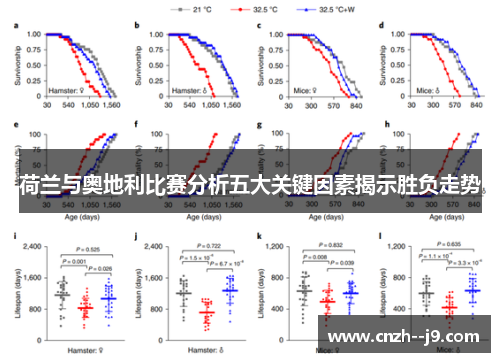 荷兰与奥地利比赛分析五大关键因素揭示胜负走势 荷兰与奥地利比赛分析五大关键因素揭示胜负走势